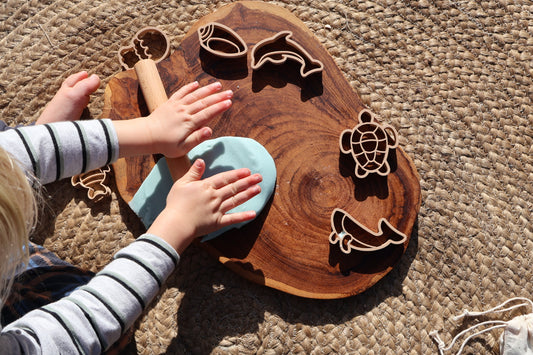 PRE-ORDER - Ocean Shimmer Playdough Kit